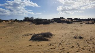 2023-GC--Mapalomas dunas-S123-084.jpg